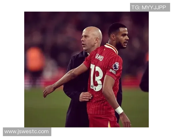 加克波：从天才少年到足球场上的璀璨明星之路