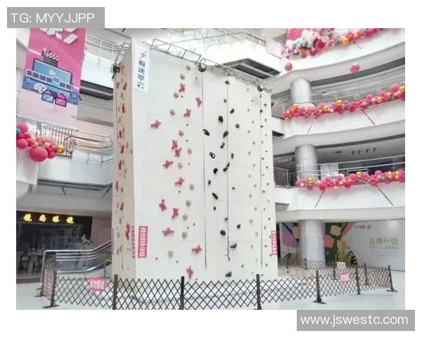 深入分析北京攀岩队的运营策略与发展模式探讨